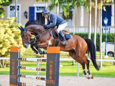 CSN da Hípica reúne elite do hipismo em Campinas