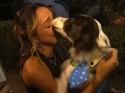 Samira, do BBB 26, se emociona ao reencontrar cachorro; assista