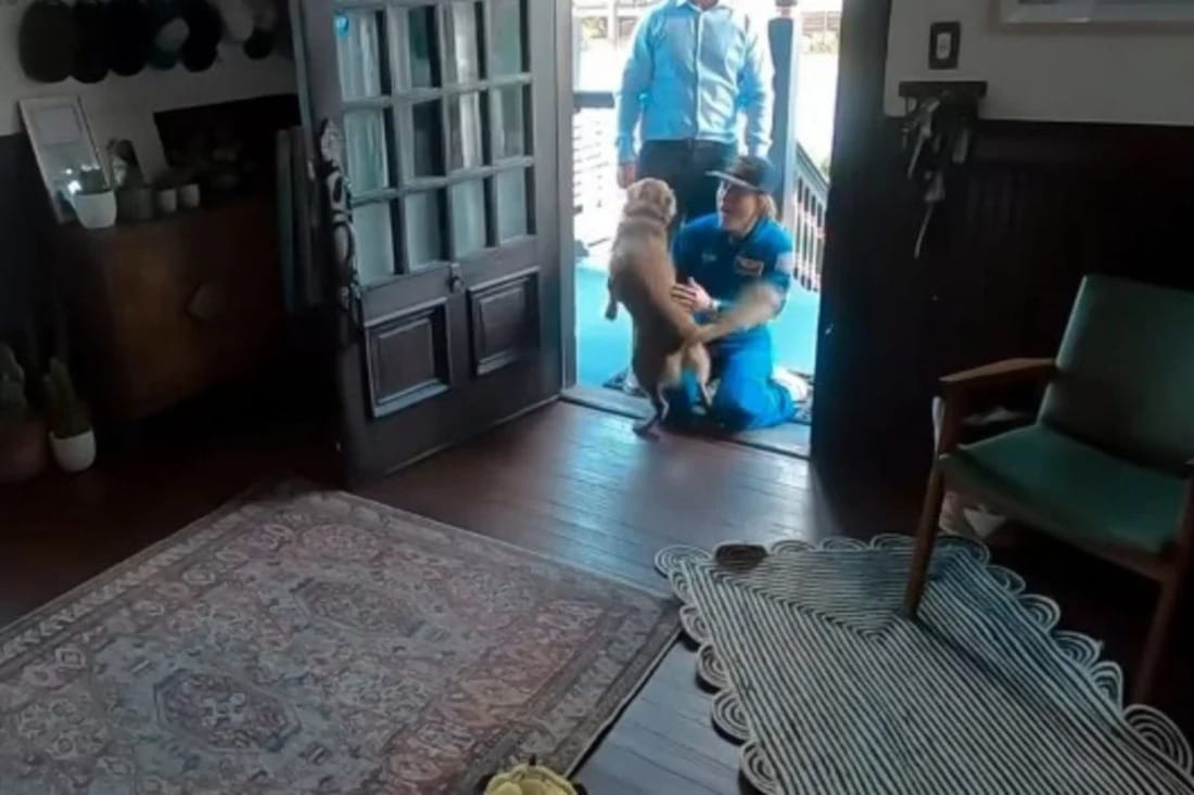 Astronauta da Artemis II grava reencontro com cachorro após missão lunar