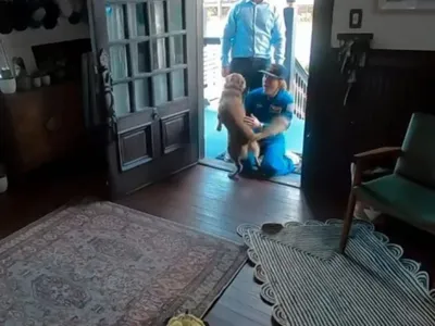 Astronauta da Artemis II grava reencontro com cachorro após missão lunar
