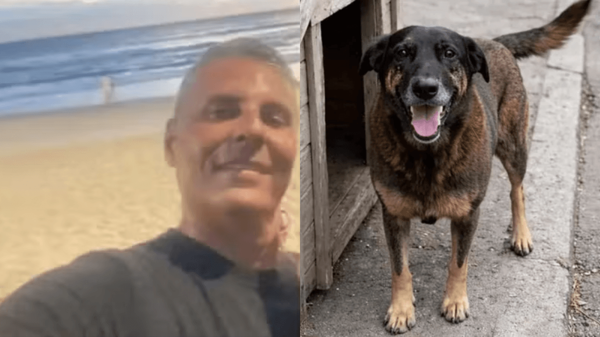 Indiciado por coação de testemunha na morte do Cão Orelha morre em SC