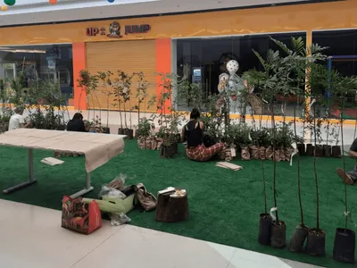 Prefeitura distribui mudas de árvores no Limeira Shopping nos dias 16 e 17