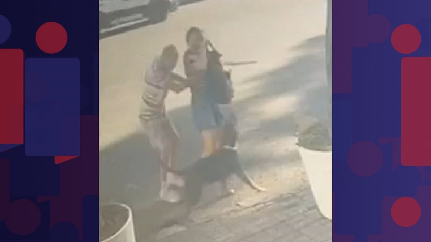 Ataque de pitbull assusta moradores na Tijuca, Zona Norte do Rio