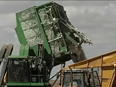 Juliana Rosa: agro lidera PIB, mas juros altos ameaçam crescimento futuro
