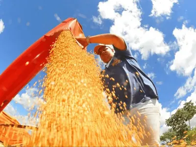 Financiamento rural exige alta burocracia e tempo de espera superior