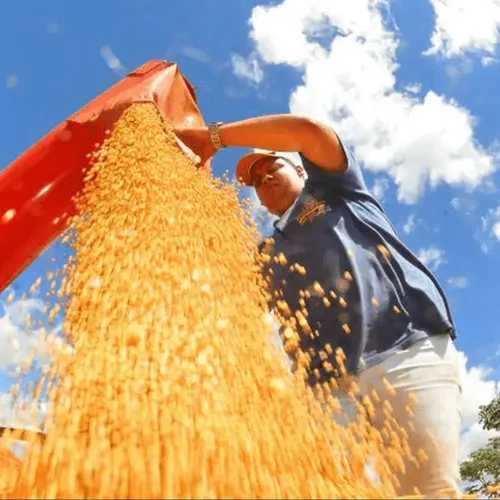 © Prefeitura de Campo Grande/Divulgação
