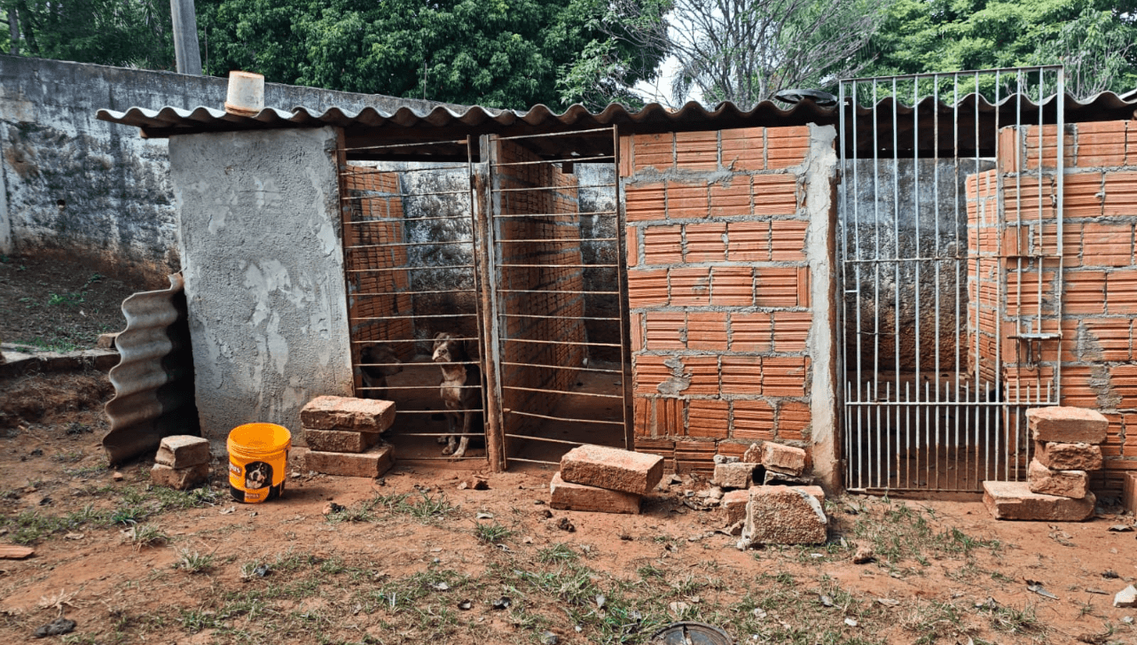Idoso é encontrado morto após ser atacado por cachorro em São Pedro