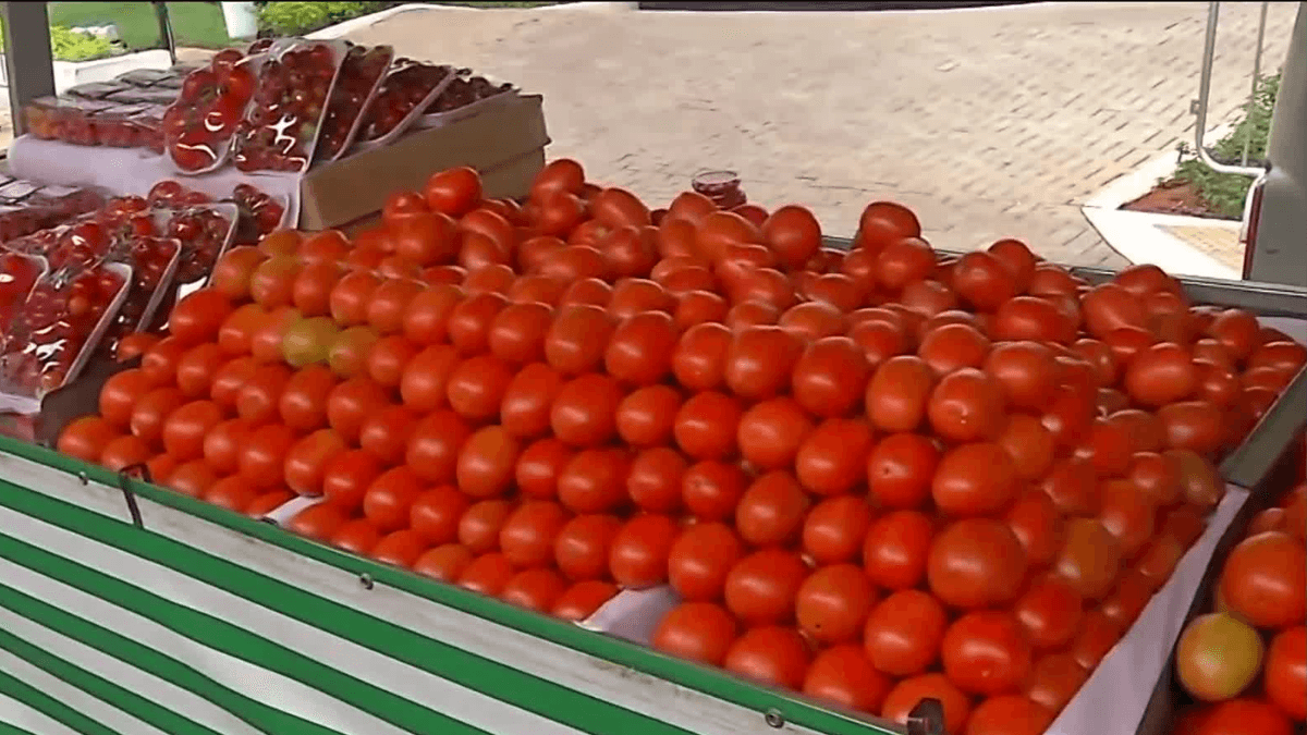 Batata, tomate e cebola pesam mais no bolso dos consumidores