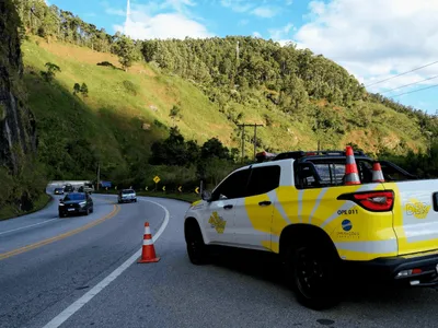 Acidentes com animais em rodovias do Vale caem entre 2024 e 2025