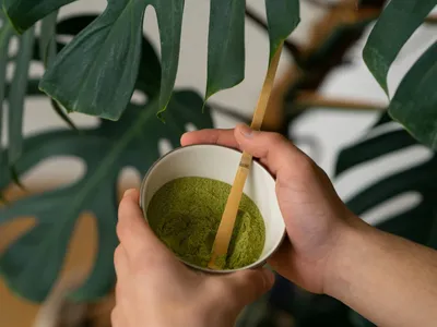 Matchá na saúde e na culinária: entenda os benefícios deste ingrediente
