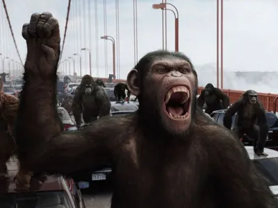 “Planeta dos Macacos”: Por que não tem macacos no filme da Sessão da Tarde?