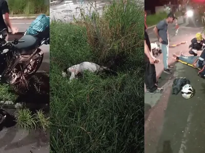 Colisão entre moto e cavalo em Guaratinguetá: o motociclista não se feriu