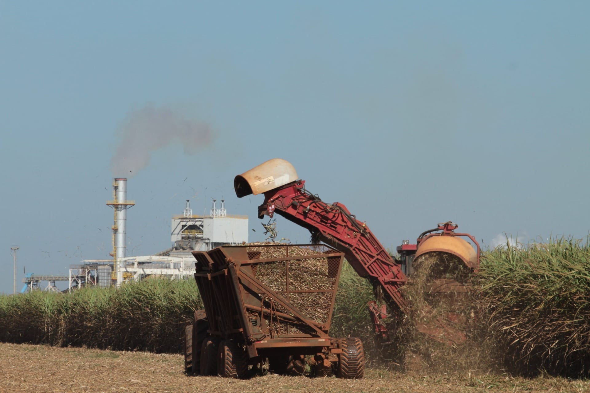 Safra 2025/26 de cana-de-açúcar é encerrada com 611 milhões de toneladas
