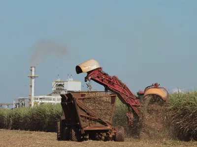 Plano Safra da Agricultura Familiar tem recorde de R$ 97 bilhões