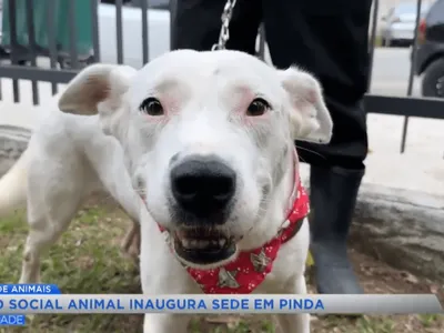 Fundo Social Animal inaugura sede no Parque da Cidade em Pindamonhangaba