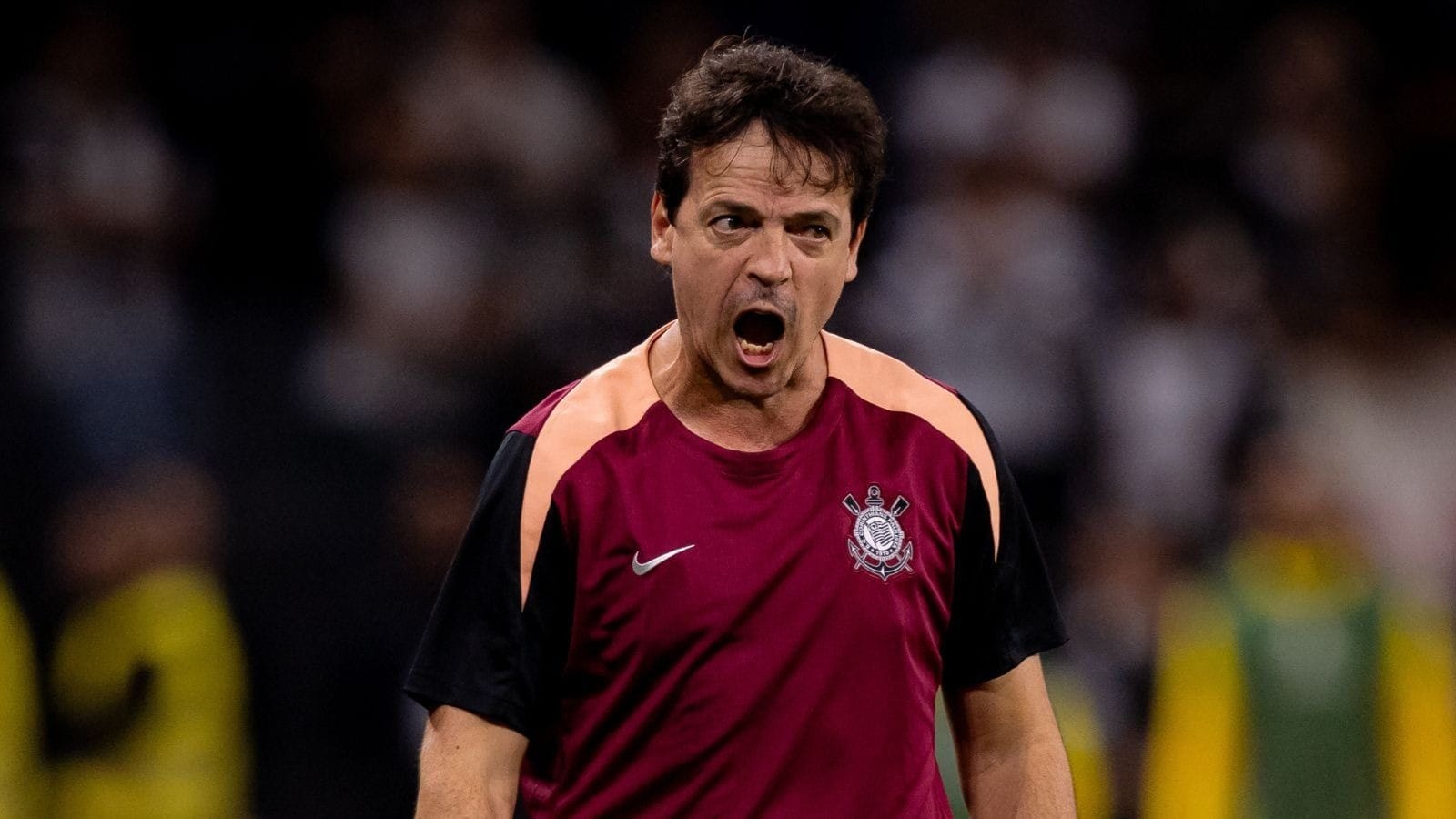 Fernando Diniz veta grandes reforços e foca em manter elenco do Corinthians