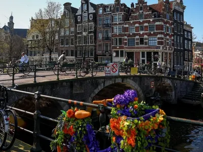 Amsterdã proíbe anúncios de carne e combustíveis fósseis nas ruas; entenda