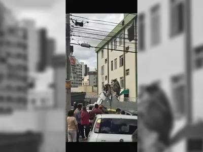 Avião de pequeno porte cai em Belo Horizonte