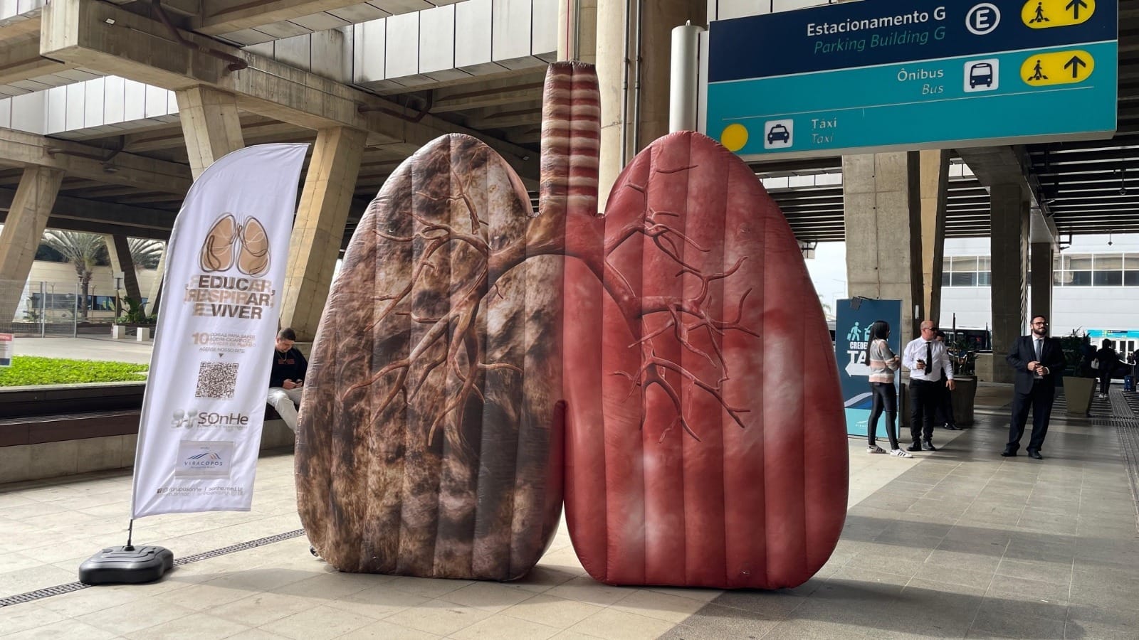 Pulmão gigante chega a Monte Mor pela primeira vez