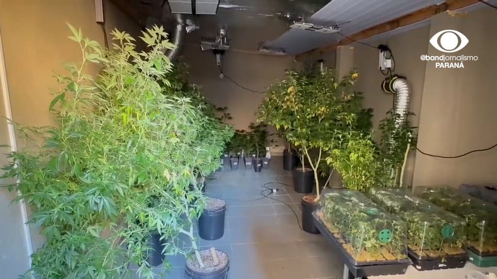 Entramos na estufa de maconha em casa de luxo no bairro Portão