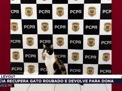 Qual é a história da gata recuperada pela polícia em Cascavel