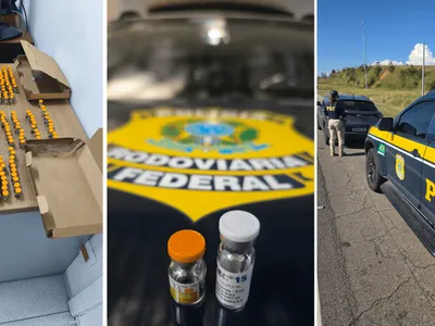 Homem é preso com R$ 358 mil em medicamentos ilegais na Dutra em Caçapava