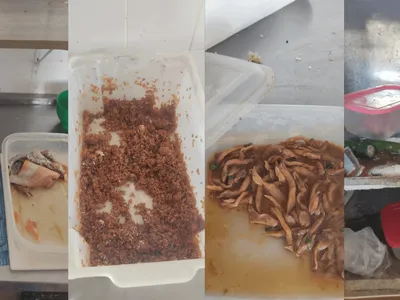 Dono de restaurante japonês clandestino é preso em São João da Boa Vista