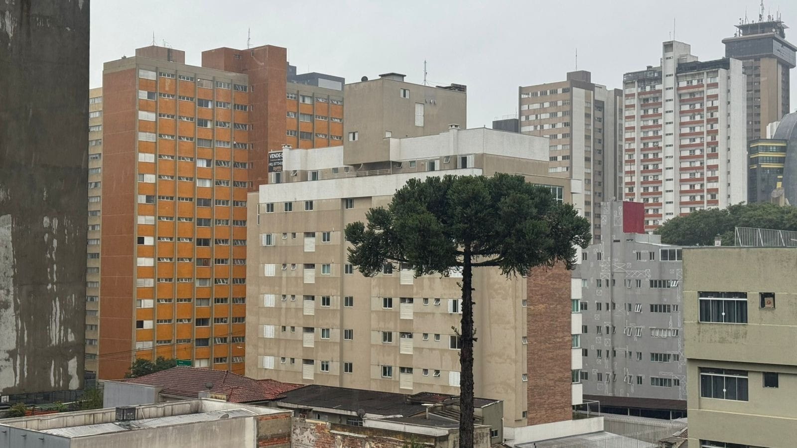 Frio no Paraná: previsão indica risco de geada; veja a previsão