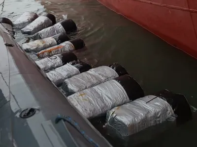 PF apreende mais de 300 kg de drogas no Porto de Santos, no litoral de SP