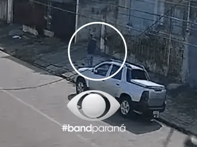 Idoso é preso por abuso contra cachorra em Curitiba