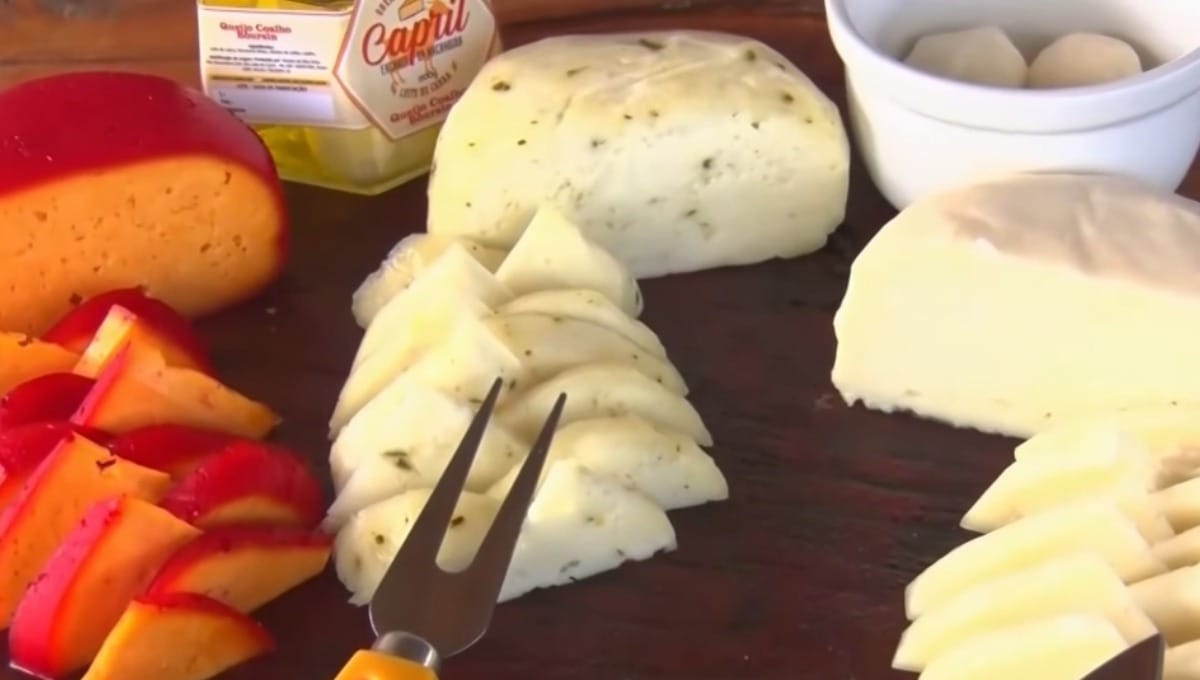 Queijo paraibano Macambira conquista mercado gastronômico com inovação