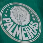 Cesar Greco/Palmeiras