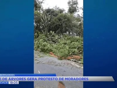 Corte de árvores na Arthur Bernardes gera protestos em Curitiba