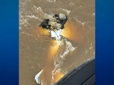 PF e FAB interceptam avião estrangeiro carregado com skunk em Roraima