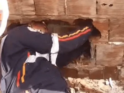 Recém-nascido abandonado entre muros morre em hospital de João Pessoa