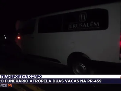 Carro funerário atinge vacas na PR-459 em Foz do Jordão, no PR