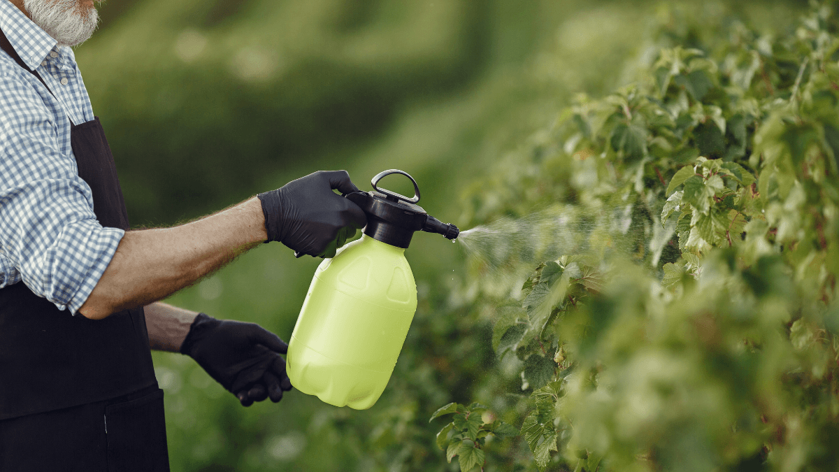 Anvisa adota nova classificação toxicológica para agrotóxicos no Brasil