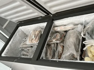 Responsável por peixaria clandestina em Americana é multado em R$ 5,1 mil