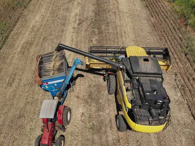 Soja impulsiona exportações e renda do agronegócio do Paraná