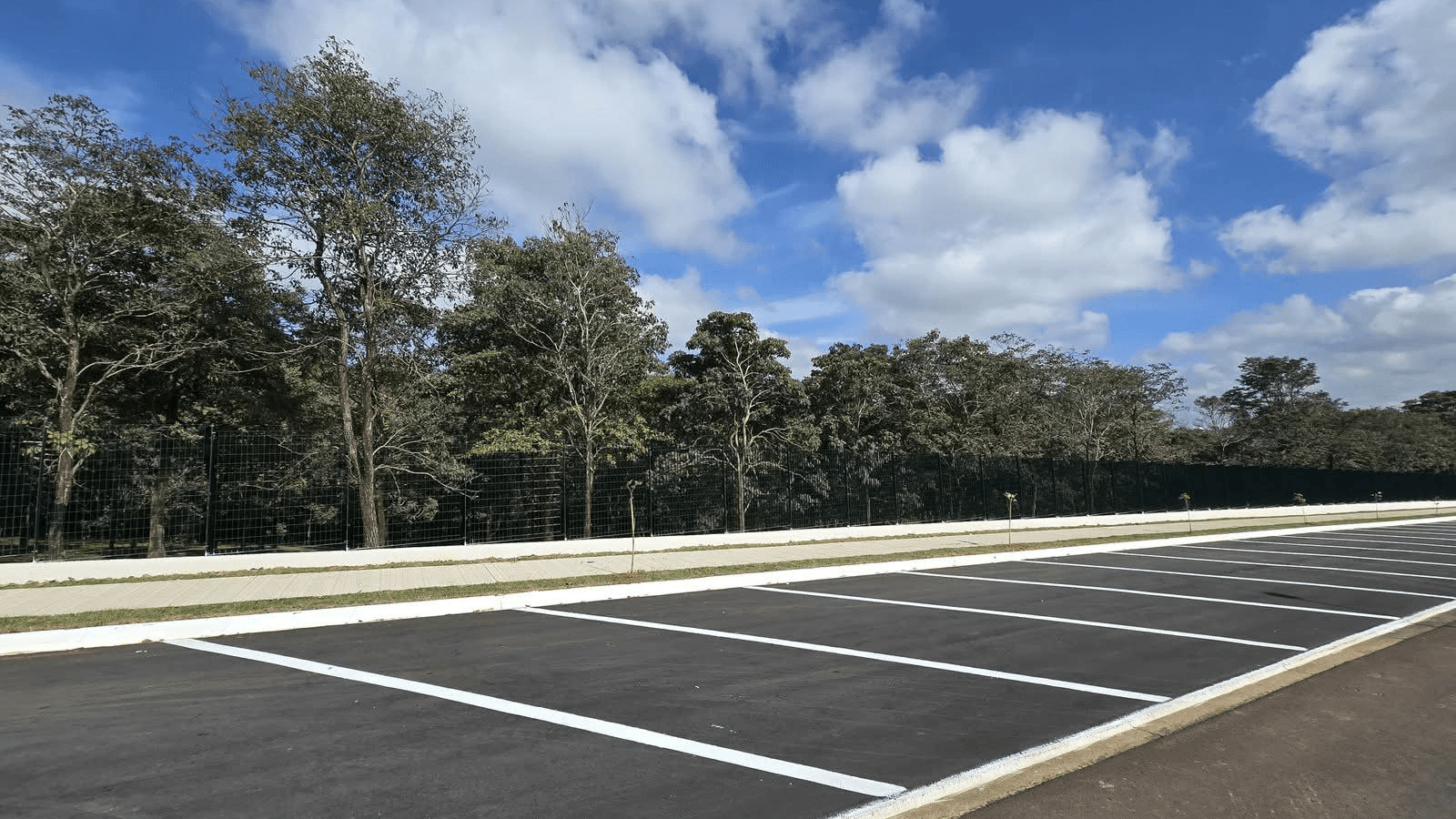 Prefeitura revitaliza Bosque Municipal com plantio de 40 ipês-brancos