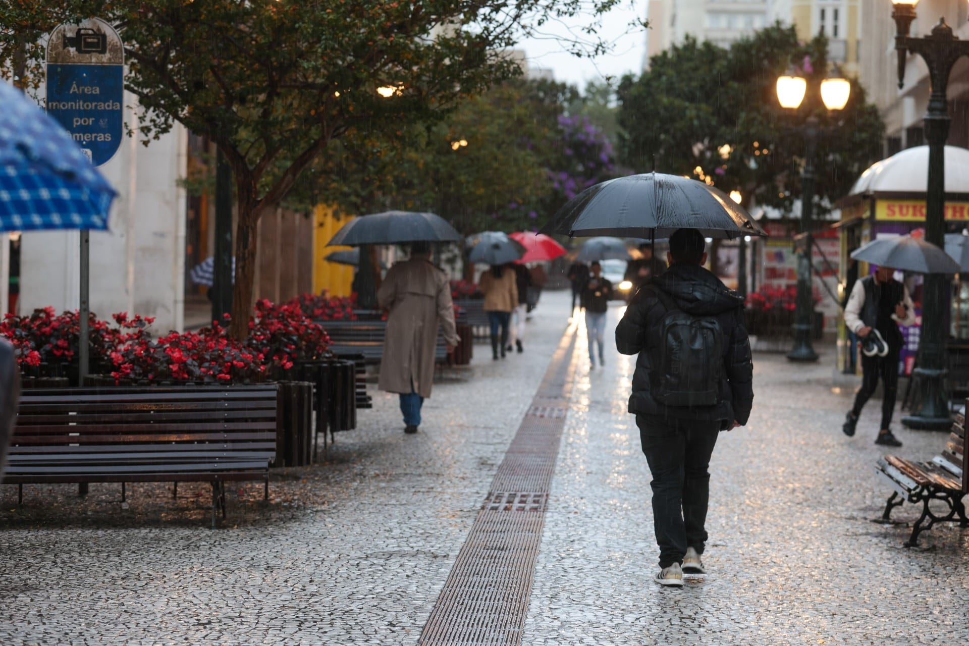 Final de semana será de chuva e frio no Paraná; veja a previsão