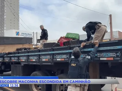 Pane seca em caminhão leva PRF a apreender quase 1 t de maconha