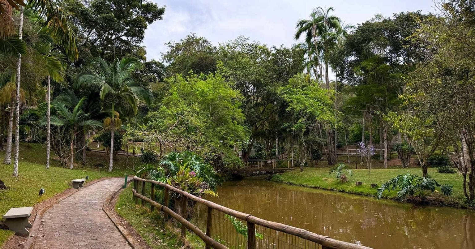 Luxo é respirar: turismo de bem-estar ganha espaço em meio à natureza