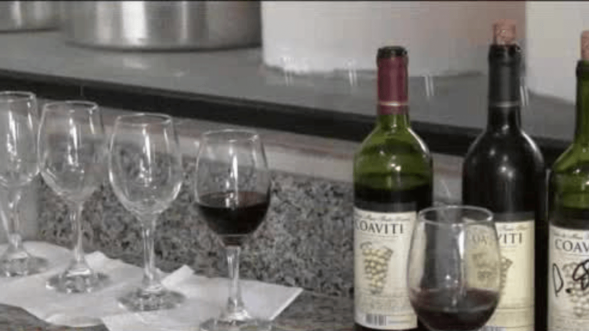 Cooperativa amplia produção de vinhos e fortalece viticultura no Paraná
