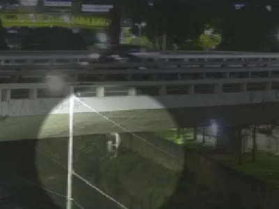 Vídeo mostra carro caindo em rio após acidente em avenida de SP; 1 morreu