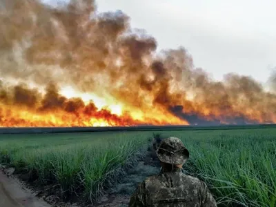 El Niño testa preparação do Brasil para incêndios florestais