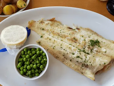 Ama peixe? Esse linguado na manteiga com amêndoas vai te surpreender