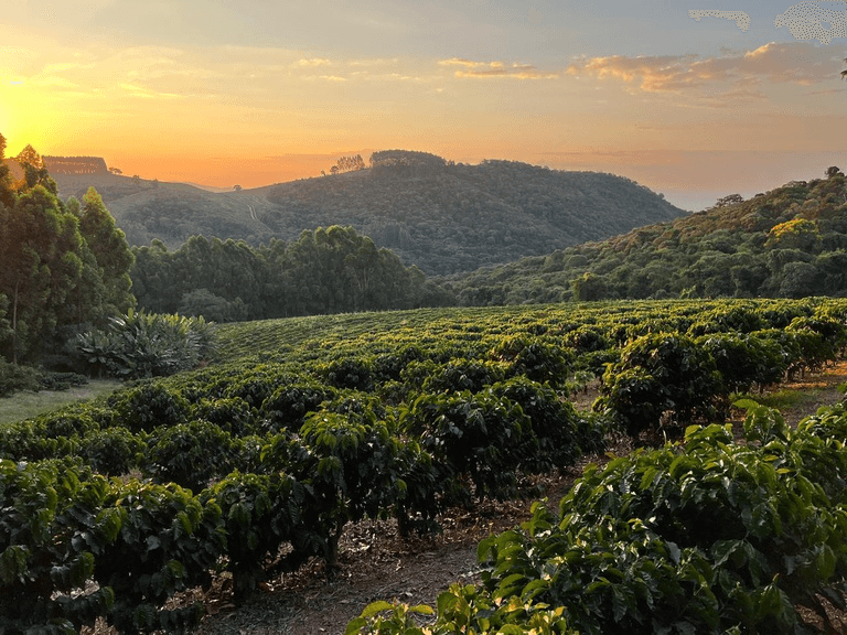 Circuito das Águas Paulista conquista Indicação Geográfica para café