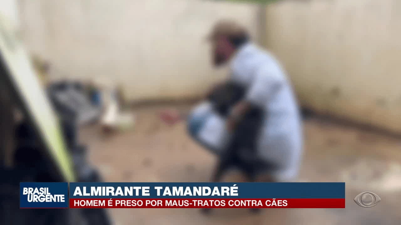 Cão é achado morto e homem é preso por maus-tratos em Almirante Tamandaré