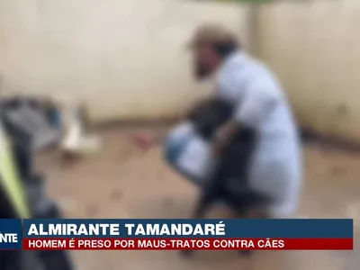 Cão é achado morto e homem é preso por maus-tratos em Almirante Tamandaré